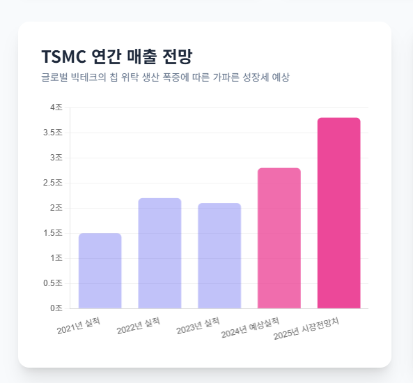 TSMC 연간 매출전망
