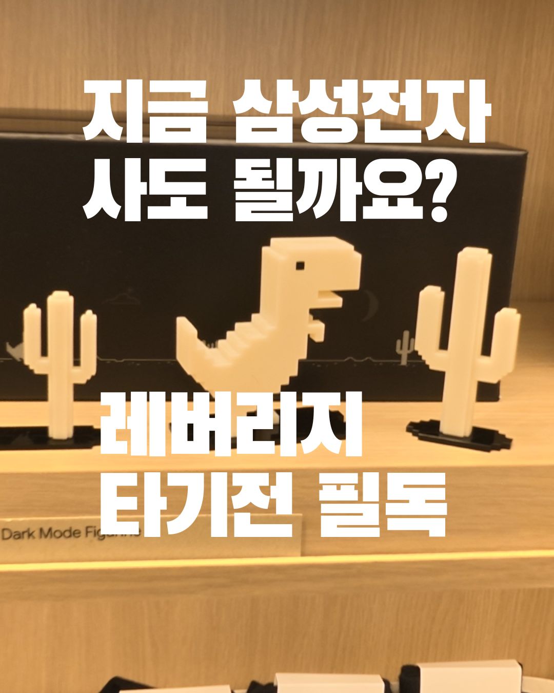 삼성전자 레버리지 ETF