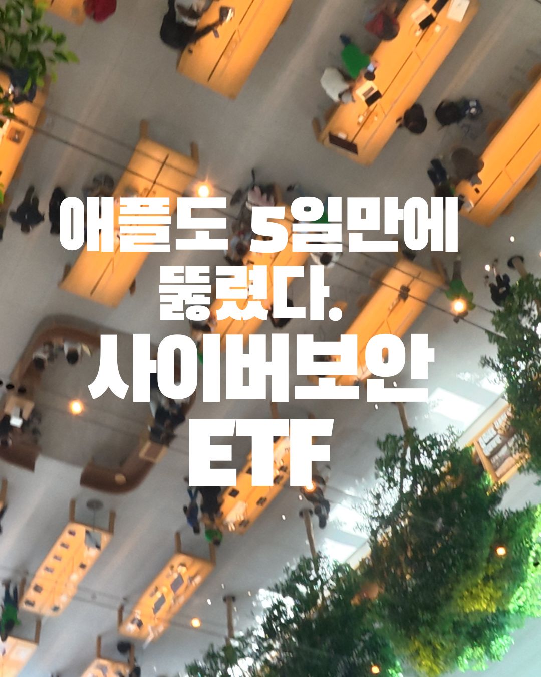 애플도 5일만에 뚫렸다 사이버보안 ETF