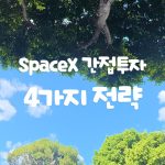 SpaceX 간접투자글자가 들어가 있는 파란 하늘