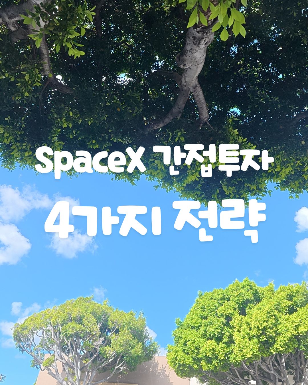 SpaceX 간접투자글자가 들어가 있는 파란 하늘